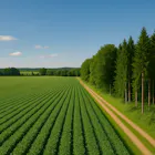 Agriculture & Forestry - Study programs and courses